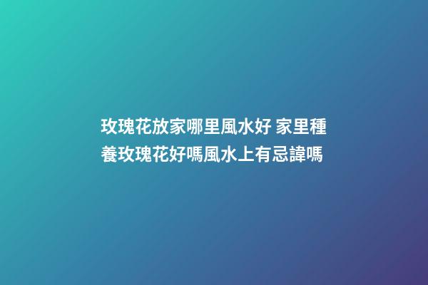 玫瑰花放家哪里風水好 家里種養玫瑰花好嗎風水上有忌諱嗎